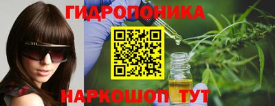 ECSTASY Обь