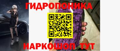 ECSTASY Обь