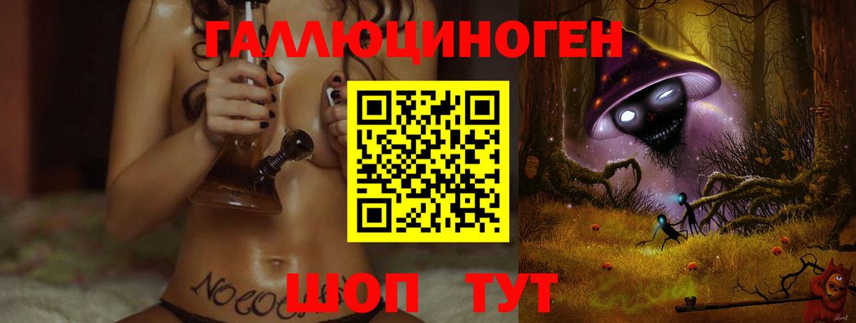 Галлюциногенные грибы Psilocybe Тверь